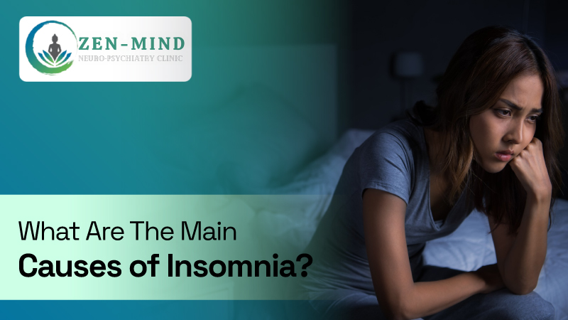 Causes of Insomnia Causes of Insomnia