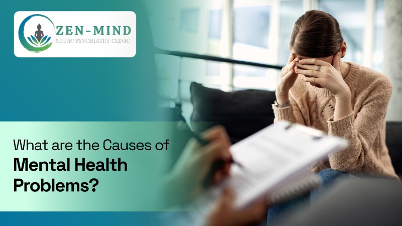 Causes of Mental Health Problems